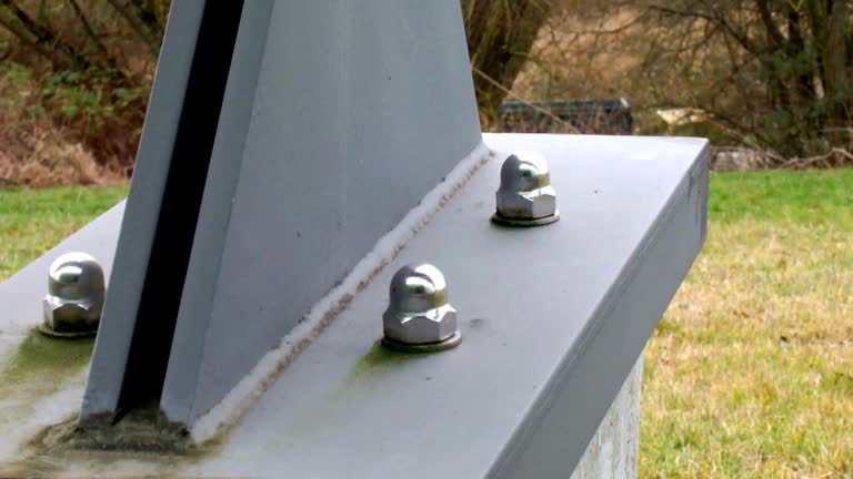 Trusted Brighton, CO Mold Removal Experts